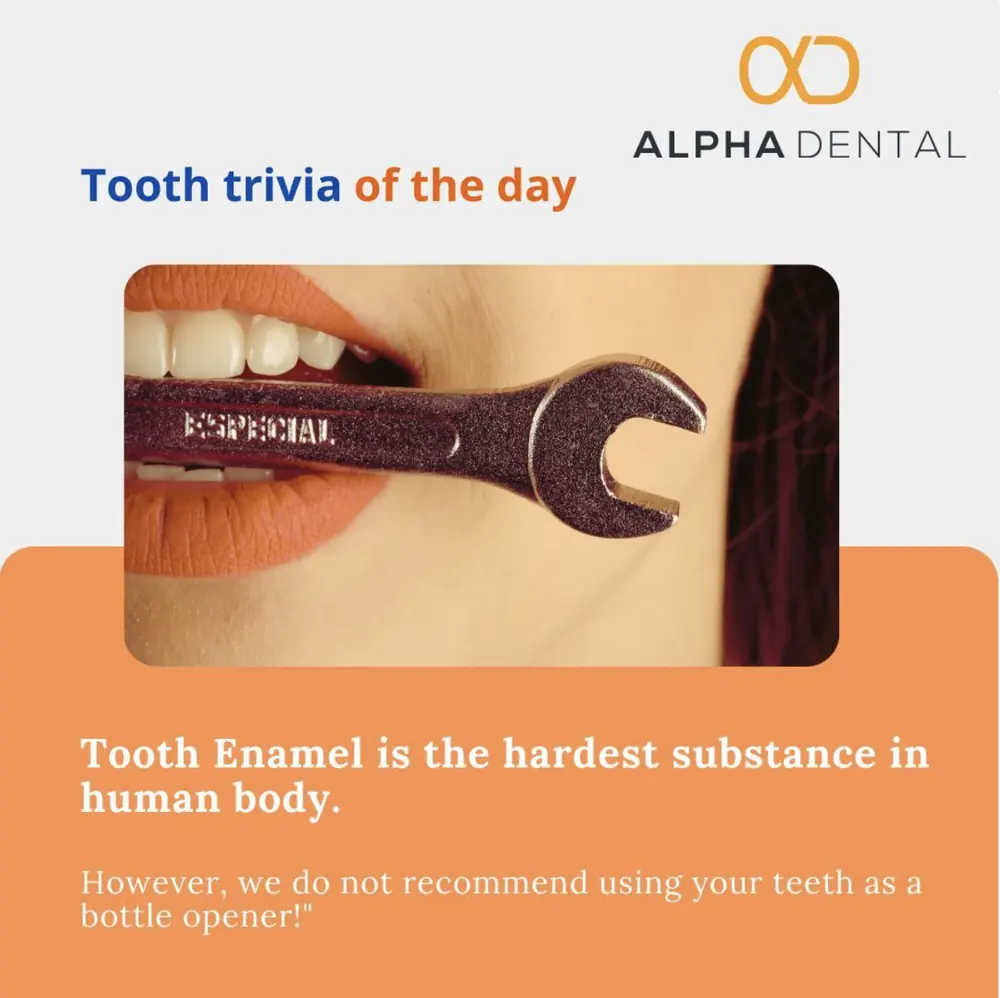 alpha dental tile